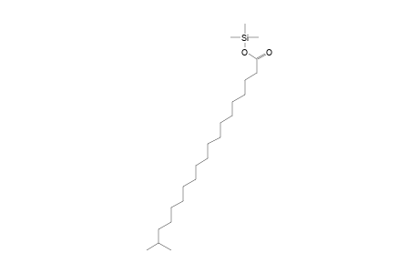 18-Methylnonadecanoic acid trimethylsilylester