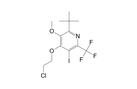 2-Tert-Butyl-4-(2-chloroethoxy)-5-iodo-3-methoxy-6-(trifluoromethyl)pyridine