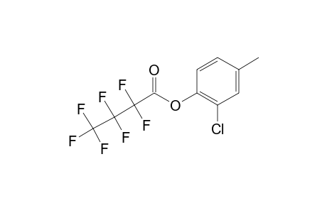 2-Chloro-4-methylphenol, o-heptafluorobutyryl-