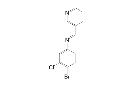 4-bromo-3-chloro-N-[(3-pyridyl)methylene]aniline