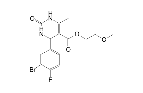 5-pyrimidinecarboxylic acid, 4-(3-bromo-4-fluorophenyl)-1,2,3,4-tetrahydro-6-methyl-2-oxo-, 2-methoxyethyl ester