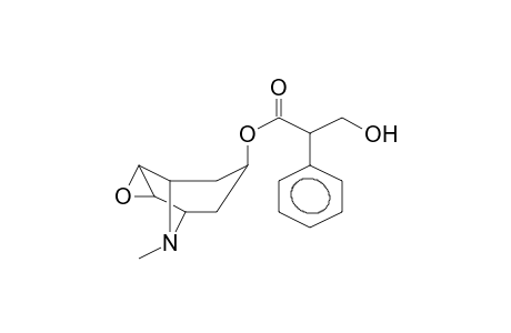 SCOPOLAMIN