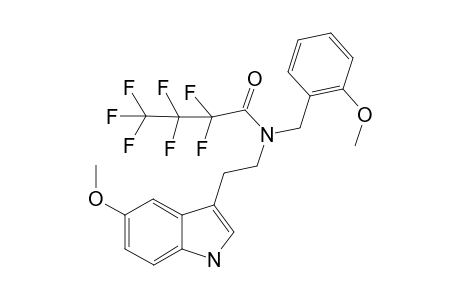 5MT-NB2OMe HFB