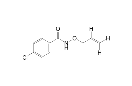 N-(allyloxy)-p-chlorobenzamide