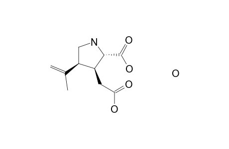 Kainic acid