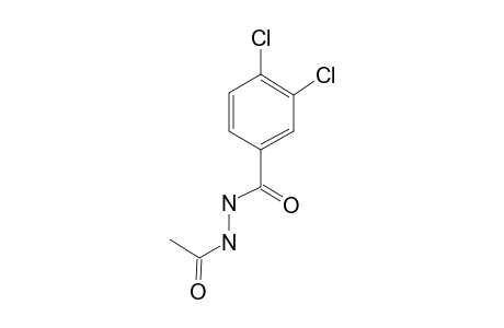 3,4-Dichlorobenzohydrazide, N'-acetyl-