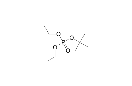 (2-METHYL-2-PROPYL)-DIETHYL-PHOSPHATE
