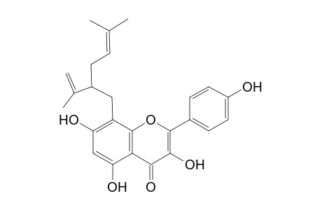 8-LAVANDULYLKAEMPFEROL