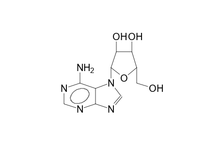 N7-ADENOSINE