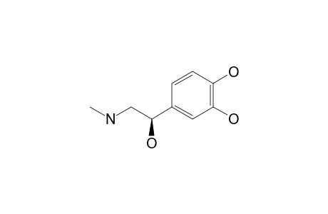 l-Adrenaline