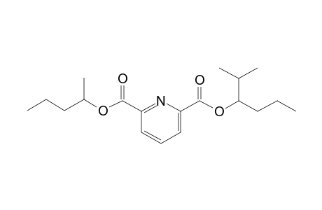 2,6-Pyridinedicarboxylic acid, 2-methylhex-3-yl 2-pentyl ester