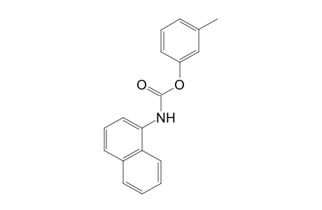 1-naphthalenecarbamic acid, m-tolyl ester