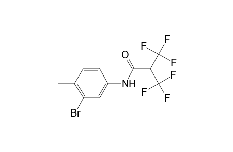 N-(3-bromanyl-4-methyl-phenyl)-3,3,3-tris(fluoranyl)-2-(trifluoromethyl)propanamide