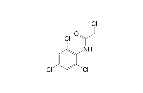 2,2',4',6'-tetrachloroacetanilide