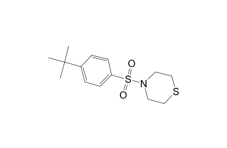 4-[(4-tert-Butylphenyl)sulfonyl]thiomorpholine