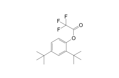 2,4-di-tert-butylphenol,trifluoroacet ester