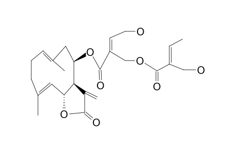 LIACRLINDROLIDE,4'-HYDROXY-B