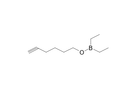 5-Hexynyl diethylborinate