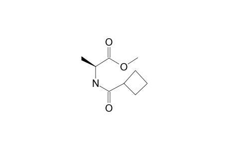 L-Alanine, N-cyclobutylcarbonyl-, methyl ester