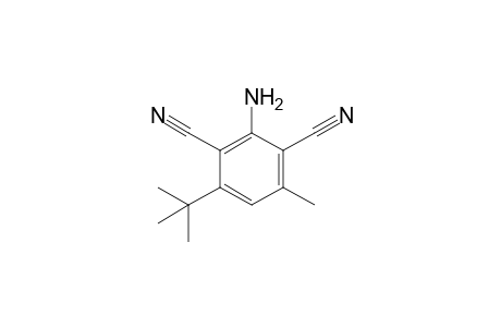 2-amino-4-tert-butyl-6-methyl-benzene-1,3-dicarbonitrile