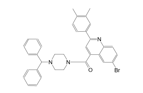 4-[(4-benzhydryl-1-piperazinyl)carbonyl]-6-bromo-2-(3,4-dimethylphenyl)quinoline