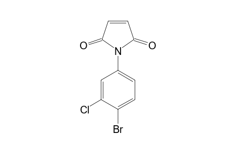 N-(4-bromo-3-chlorophenyl)maleimide