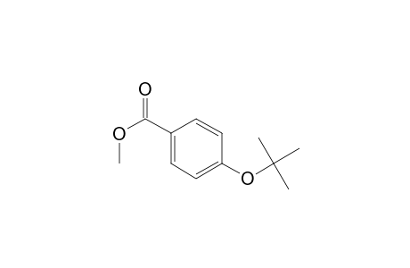 Benzoic acid, 4-(1,1-dimethylethoxy)-, methyl ester