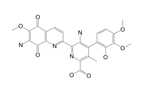 STREPTONIGRIN;5-AMINO-4-(2-HYDROXY-3,4-DIMETHOXYPHENYL)-6-[7-AMINO-6-METHOXY-5,8-DIOXO-5,8-DIHYDROQUINOLIN-2-YL]-3-METHYLPYRIDINE