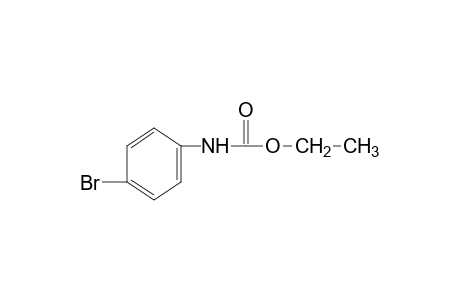 p-bromocarbanilic acid, ethyl ester