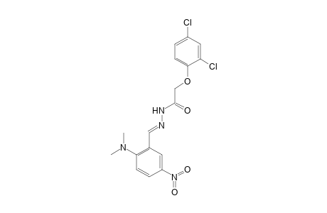 2-(2,4-dichlorophenoxy)-N'-{(E)-[2-(dimethylamino)-5-nitrophenyl]methylidene}acetohydrazide