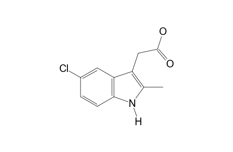 5-chloro-2-methylindole-3-acetic acid