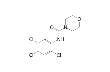 2',4',5'-trichloro-4-morpholinecarboxanilide