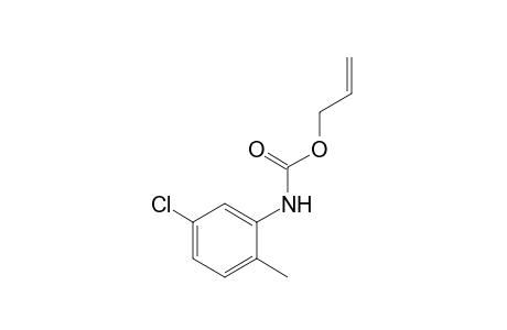 5-chloro-2-methylcarbanilic acid, allyl ester
