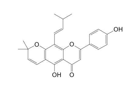 Laxichalcone