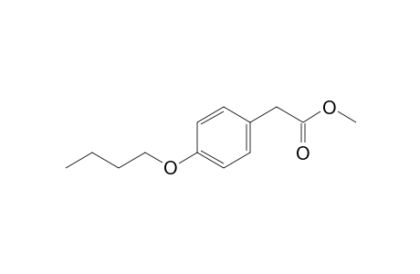 (p-Butoxyphenyl)acetic acid, methyl ester