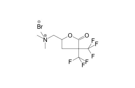 2,2-BIS(TRIFLUOROMETHYL)-4-TRIMETHYLAMMONIOMETHYL-4-BUTANOLIDE BROMIDE