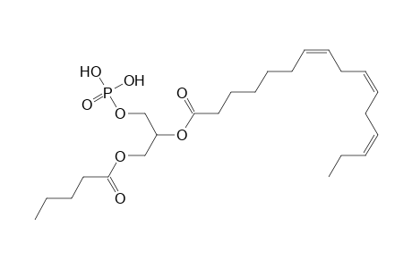 PA 5:0_16:3