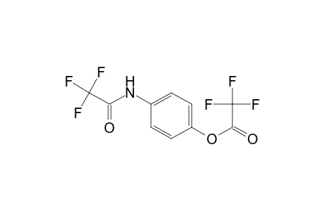 p-aminophenol, N,O-bis(trifluoroacetyl)-