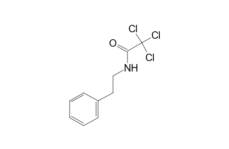 N-phenethyl-2,2,2-trichloroacetamide