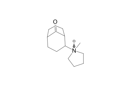 1-Methyl-1-(9-oxo-bicyclo[3.3.1]non-2-yl)-pyrrolidinium iodide