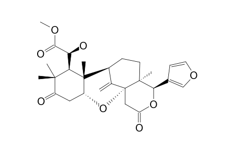 INTYBUSOLOIDE;17-EPI-METHYL-6-HYDROXYGANGOLENSATE