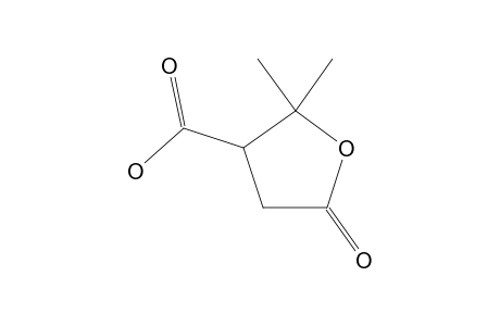 2,2-Dimethyl-5-oxotetrahydro-3-furoic acid