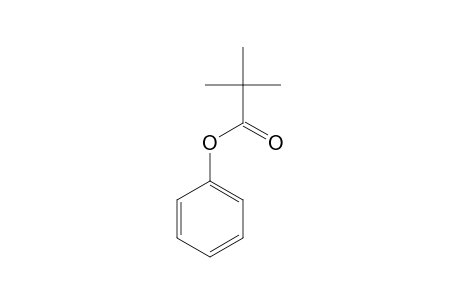 Pivalic acid, phenyl ester