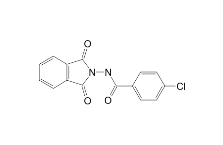 p-chlorobenzoic acid, phthaloyl hydrazide