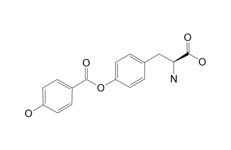 HERDMANINE_L