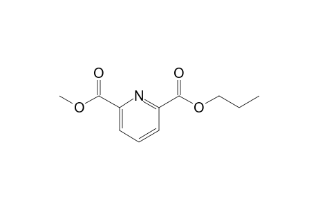 METHYL_PROPYLPYRIDINE-2,6-DICARBOXYLATE