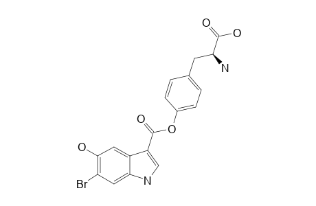 HERDMANINE_D