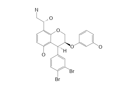 AMMONIFICIN_B