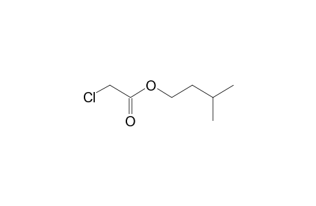 chloroacetic acid, isopentyl ester