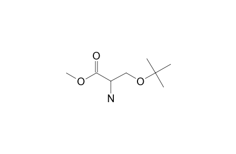 o-Tert.-butyl-L-serine, methyl ester